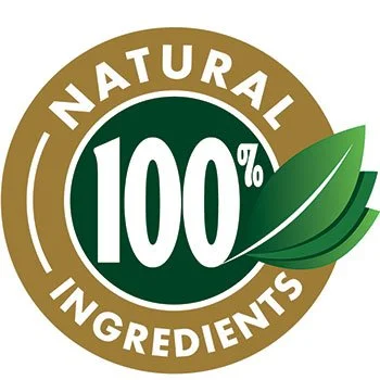 Java Burn 2.0 all natural vegan ingredients